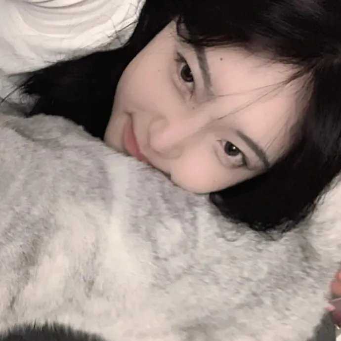 追婚记